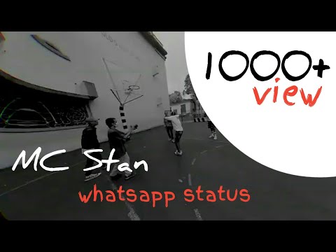 Mc Stan - HOSH MAI AA Status TADIPAAR album