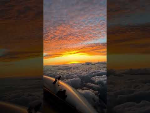 Sun set in cockpit | credits @cesardall | Please Subscribe For More