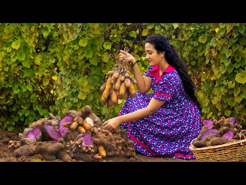 I Made purple roses | Unforgettable dishes. For my family with lots of love|Poorna-The nature girl|