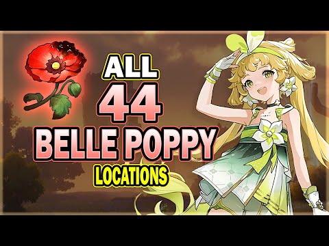 All 44 Belle Poppy Locations in Wuthering Waves - Efficient Farming Route