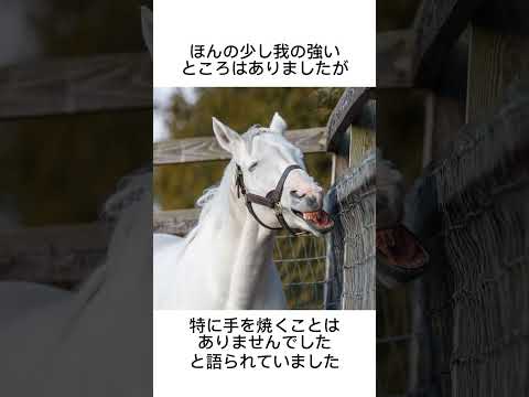 競馬界の悪魔、ゴールドシップ　#競馬 #馬 #騎手 #競艇 #競輪#雑学