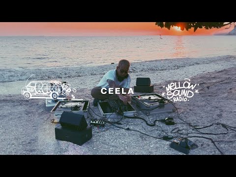 [15 min Viny Set RcRc.] DJ CEELA  (Reggae / Dub)