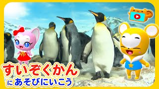 水族館に遊びに行こう！★ペンギン、イルカ、シャチ、アシカ、ジンベエザメ、カメ等生き物大集合！【知育・キッズ・ダンス・こどものうた・童謡・手遊び・】animation for kids