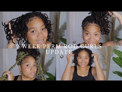 2 Week Perm Rod Update & Styling My Locs