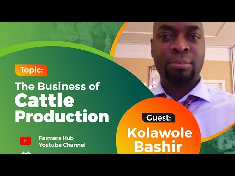 Business of Cattle Production