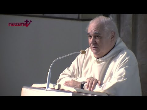 Evangelio y homilía de la santa misa de hoy miércoles 11 de diciembre de 2024. Rvdo. Enric Ribas