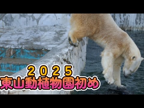 ２０２５年東山動植物園初め（東山動植物園）（Higashiyama Zoo and Botanical Garden in Nagoya city Japan）