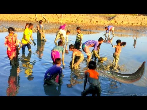 Fishing Video😱😲 | Nice To See The Fishing Scene Of The Village Boy || Best Catch Fishing