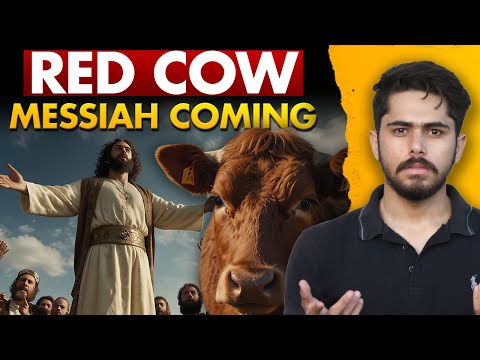 RED HEIFER SIGNIFICANCE | JEWISH MESSIAH COMING | AL ASQSA IN DANGER | THIRD TEMPLE SOON |