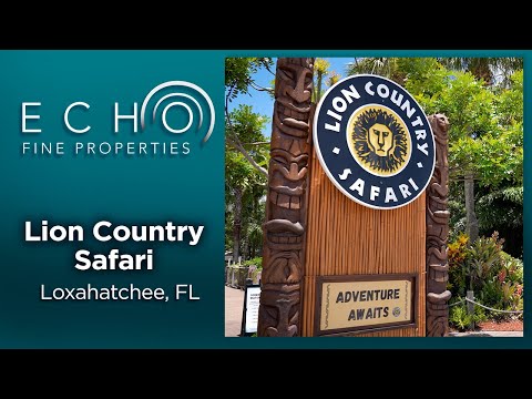 Local Waves: Lion Country Safari | Drive Thru Safari | Over 300 Acres Natural Area | Giraffe Feeding