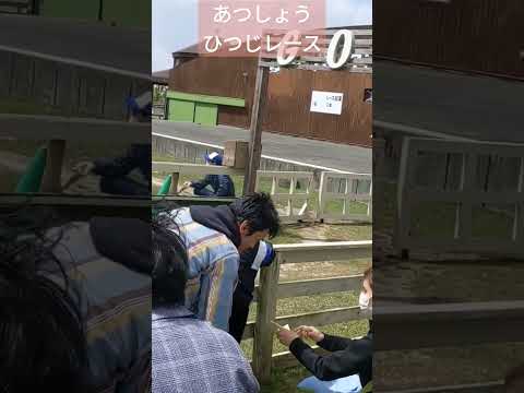 あつしょう　ひつじレース🐏🐏🐏