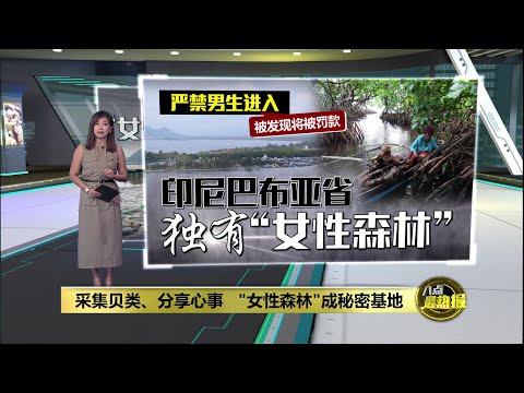 印尼独有"女性森林"   男性擅闯将面临罚款 | 八点最热报 11/01/2025