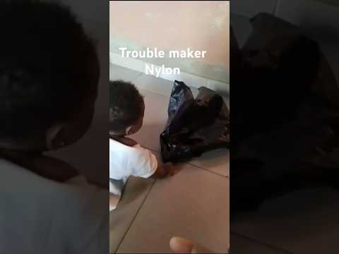 Nylon the trouble maker #damselhrh #baby #funny #goviral #