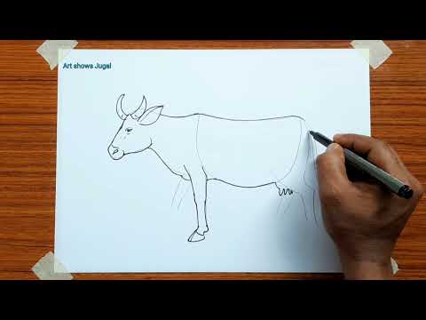 How to draw cow 🐄 | Cow drawing easy step by step