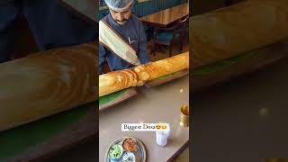 Biggest Dosa 😍|| North Indian food ❤️#shorts#foodlover#streetfood #dosa#dosarecipe #northindianfood