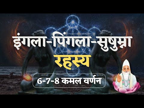 6-7-8 कमल रहस्य - अष्ट कमल वर्णन || VKabeerVichaar