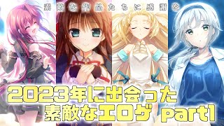 【ノベルゲーム】2023年に出会った素敵なエロゲ＆ギャルゲのご紹介 part1