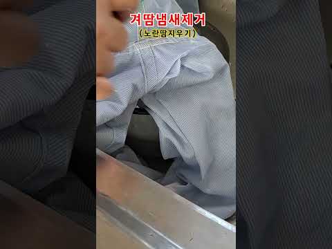 겨땀냄새 겨드랑이 노란색 땀 지우는법 #땀내제거 #shorts