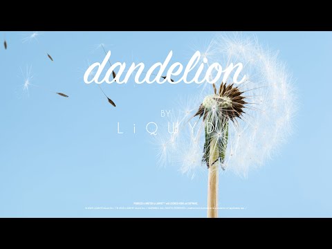 LiQWYD - Dandelion [Official]