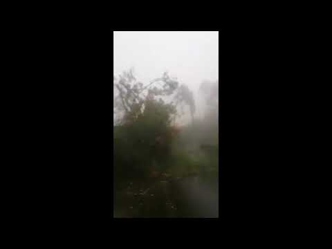 Part 1 Random Videos of Typhoon Goni or Typhoon Rolly