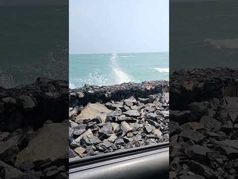 #beachlove#southindia #beautyofindia  #beachvibes#dhanushkodibeach #rameshwaram #beautyofdhanushkodi