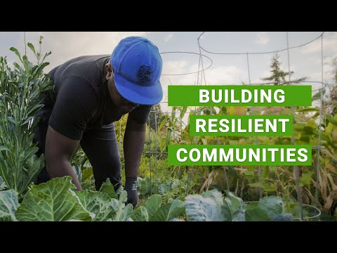 Denis Nyongesa: Building Resilient Communities