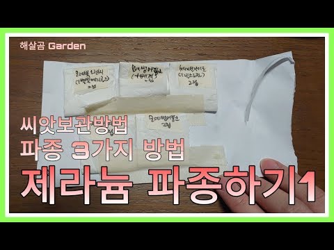 제라늄 파종하기1ㅣSowing Pelargoniums