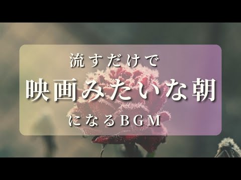 【あなたの朝が映画のワンシーンになるBGM】勉強や瞑想にも癒しのヒーリング音楽１時間 | 流すだけで映画みたいな朝になる曲