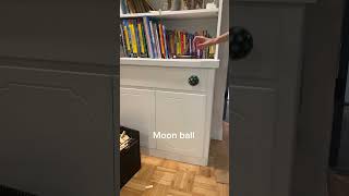 Is the moon ball worth it?