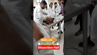 MBBS Life 🩺| Dissection hall | MBBS practical time| Fun in MBBS #mbbs #neet #motivation #trending