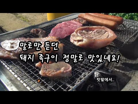 [텃밭의 하루]텃밭은 자연의 선물 보따리