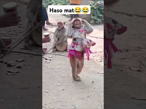 Bilkul hasna mana hey😂😂😂 #monkeystory #funny #shortvideo