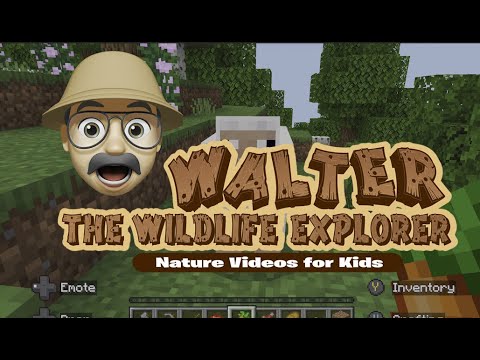 Minecraft Epic Jungle Adventure - Fun Exploration Videos for Kids!