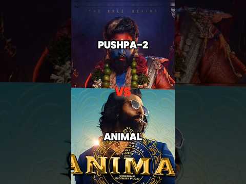 Pushpa 2 ❤️💥💚 vs Animal ❤️💙 1st week collection 🤩💕 || comparison 🔥👑😎 Bunny 💕 vs ranbir ✨ #shorts