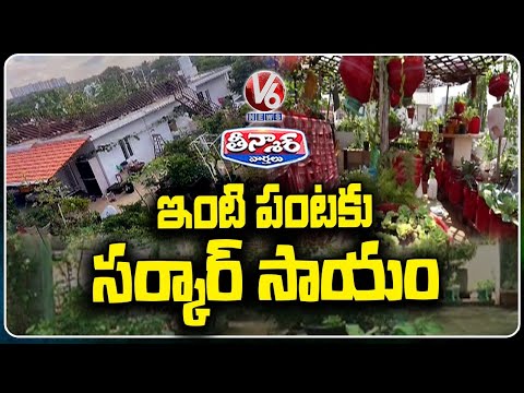 Telangana Government Plans For Greenhouse Subsidy for Rooftop Farming  |V6 Teenmaar