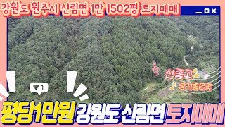 평당가 1만원, 1만 1502.26평 농림지역 토지매매, 강원도 원주시 신림면에 위치한 시골땅 매물 : 스타부동산 TV