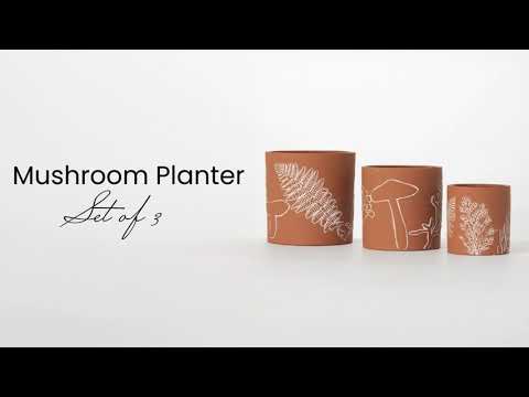 Terracotta Mushroom Containers