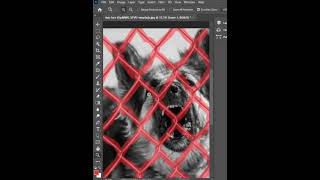 Photoshop Tutorial | How To Remove Dog Fence | #shorts #photoshop #tutorial #edits