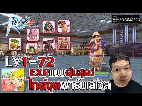 LV1-72 ไกด์จุดฟาร์มเลเวล ได้ EXP แบบคุ้มสุดในช่วงเลเวล!| Ragnarok M: Classic