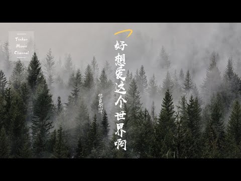 华晨宇 - 好想爱这个世界啊 「抱着沙发 睡眼昏花 凌乱头发 却渴望像电影主角一样潇洒」【动态歌词Lyrics】