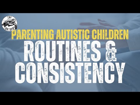 ROUTINES AND CONSISTENCY | Parenting Autistic Children - With Dan Jones