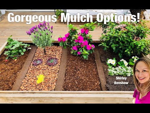 Gorgeous Mulch Options for Garden and Landscapes! (Shirley Bovshow)