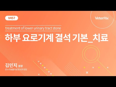 [베터플릭스][하부 요로기계 결석 기본] 치료 (treatment of lower urinary tract stone)