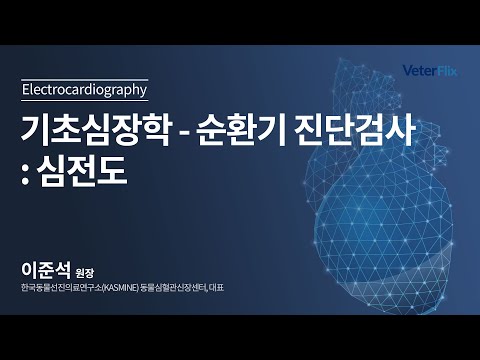 [베터플릭스][기초심장학] 순환기 진단검사 : 심전도(Electrocardiography)