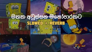 මනෝපාරකට සින්දු (slowed + reverb) | manoparakata sinhala songs collection | best new songs