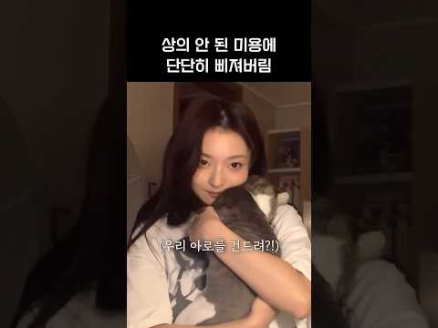 [프로미스나인]츄르로 원만한 합의 바랍니다