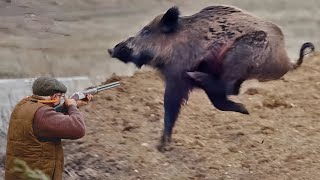 Wild Boar Hunting EXPOSED!