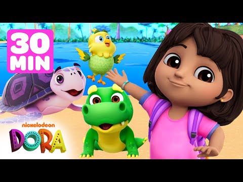 Dora Loves Animals! 🐤 30 Minute Compilation | Dora & Friends