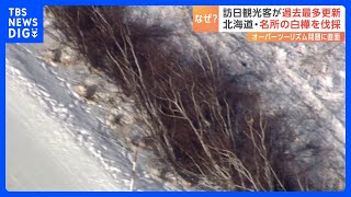 訪日外国人数が過去最多を更新　観光地ではトラブルも…オーバーツーリズム対策で苦渋の選択｜TBS NEWS DIG