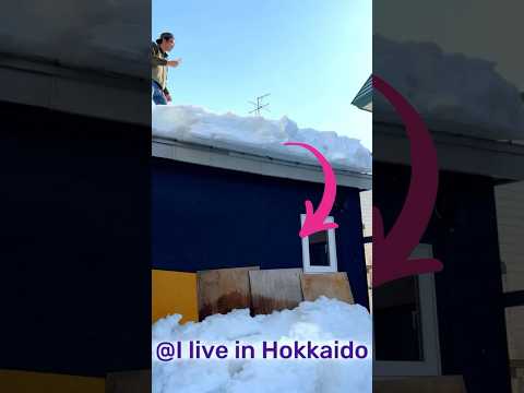 雪庇、落ちた #shorts #shortvideo #hokkaido #雪庇